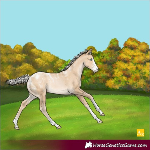 Horse Color:Powder White Silver Smoky Black Pearl Appaloosa Rabicano