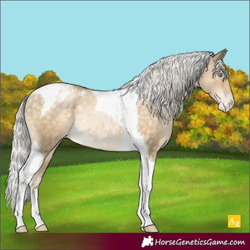 Horse Color:Silver Buckskin Pearl Tobiano Appaloosa Rabicano 