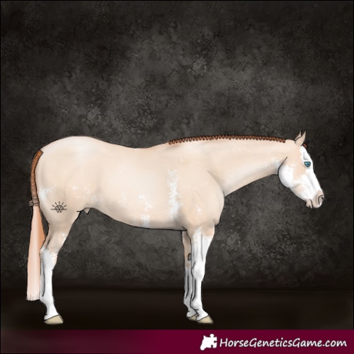 Horse Color:Sable Champagne Pearl Dun Sabino Splash