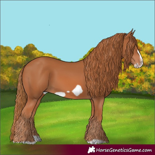 Horse Color:Chestnut Splash Frame 