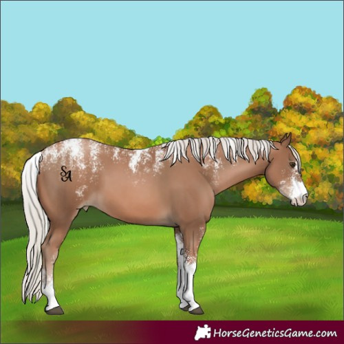 Horse Color:Powder White Silver Black Pearl