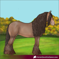 Horse Color:Amber Champagne