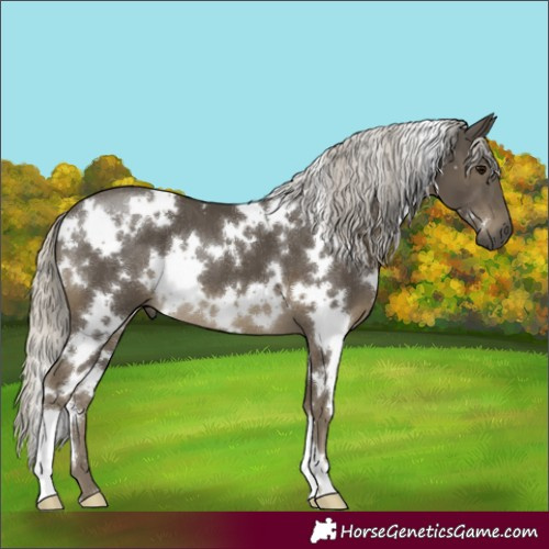 Horse Color:White Spotted Silver Smoky Black 