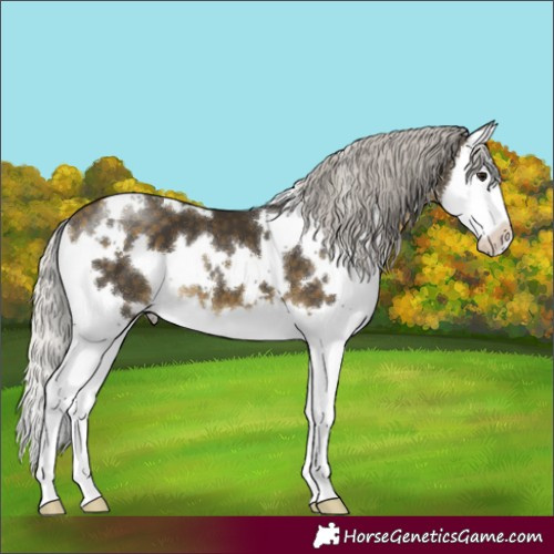 Horse Color:White Spotted Silver Buckskin Splash 