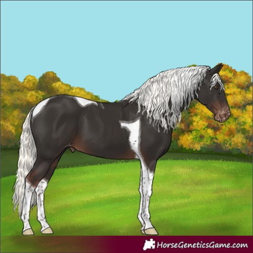 Horse Color:Liver Chestnut Mushroom Tobiano Skewed LP Spotted