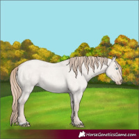 Horse Color:Smoky Creme Roan Dun Mushroom 