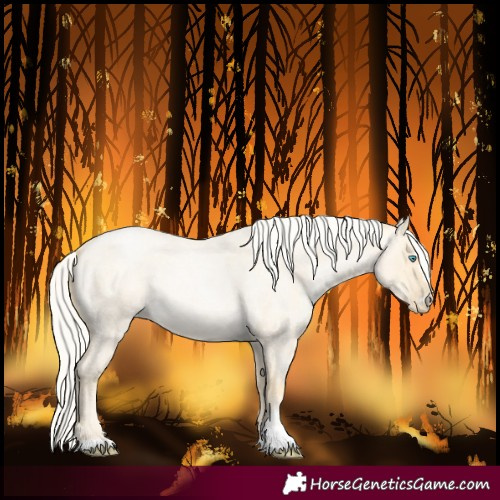 Horse Color:Silver Smoky Grullo Roan Pearl Mushroom