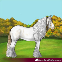 Horse Color:Buckskin Roan Dun Mushroom Tobiano Frame Appaloosa 