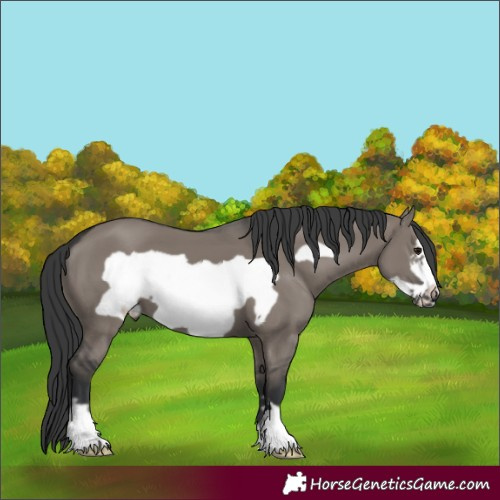 Horse Color:Grullo Mushroom Frame 
