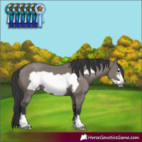 Horse Color:Grullo Mushroom Frame