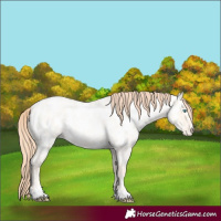 Horse Color:Classic Cream Champagne Roan Pearl Dun Mushroom Appaloosa