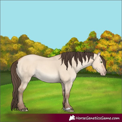 Horse Color:Amber Champagne Dun 