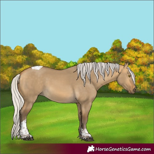 Horse Color:Silver Buckskin Dun Tobiano 