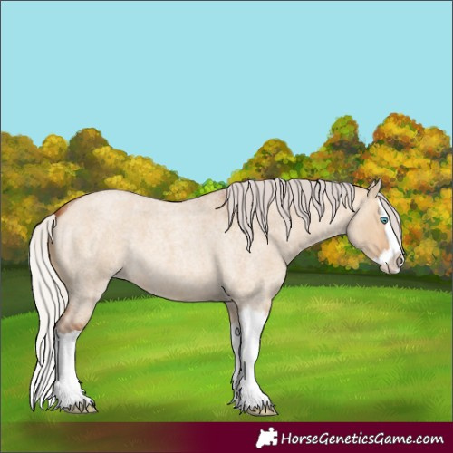 Horse Color:Silver Bay Roan Dun Splash