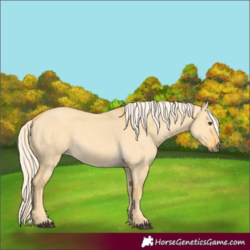 Horse Color:Palomino Dun 