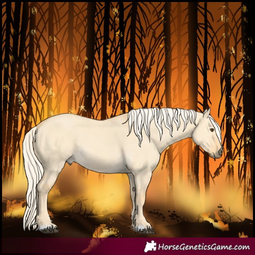 Horse Color:Palomino Dun 