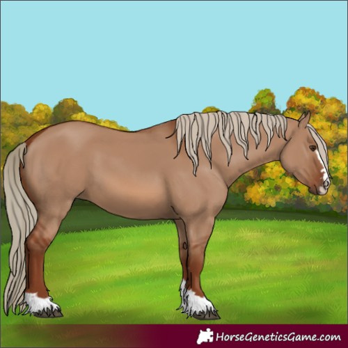 Horse Color:Red Dun