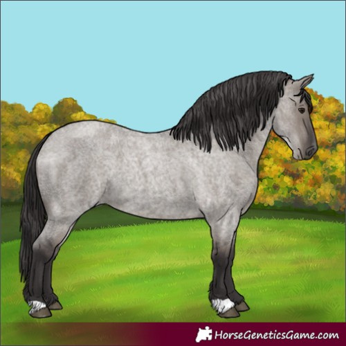 Horse Color:Smoky Grullo Roan 
