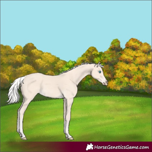 Horse Color:Silver Perlino 