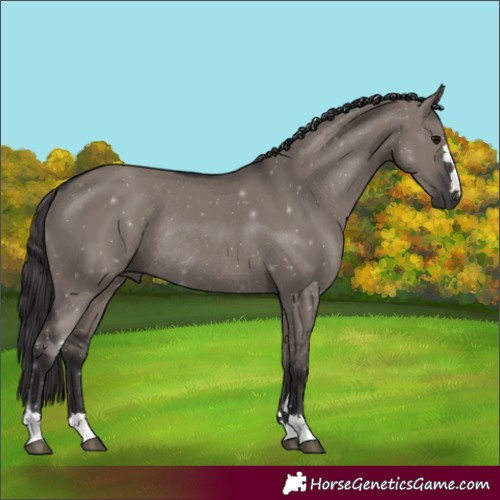 Horse Color:Smoky Grullo Rabicano 
