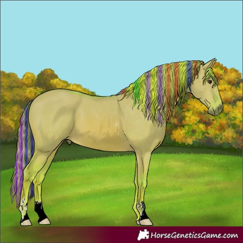 Horse Color:Painted Watercolor Red Dun 