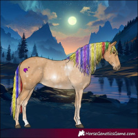 Horse Color:Painted Palomino