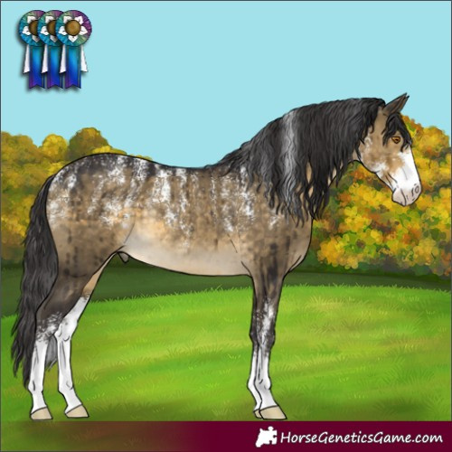 Horse Color:Powder White Buckskin Dun Sabino Rabicano Brindle