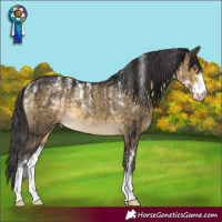 Horse Color:Powder White Buckskin Dun Sabino Rabicano Brindle 