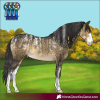 Horse Color:Powder White Buckskin Dun Sabino Rabicano Brindle