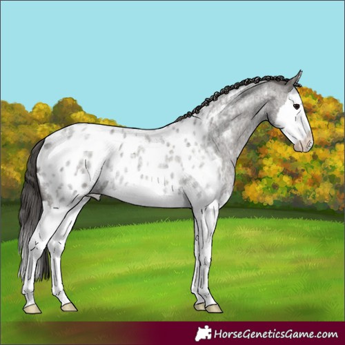 Horse Color:Unknown 
