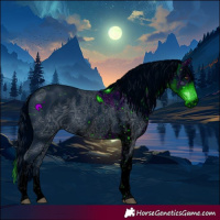Horse Color:ERROR: UNKNOWN ANOMALY