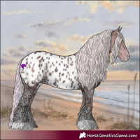 Horse Color:Watercolor Palomino Ice Appaloosa 