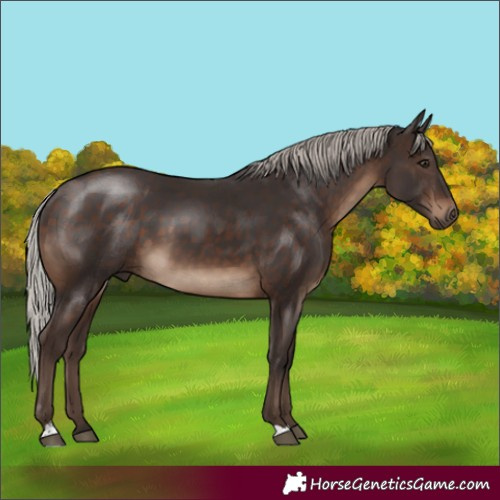 Horse Color:Silver Brown 