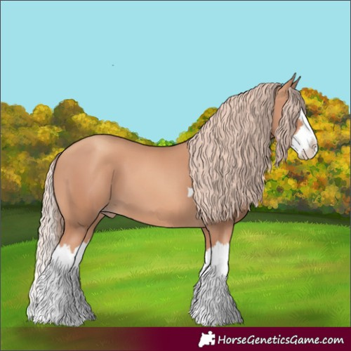 Horse Color:Gold Champagne Splash 