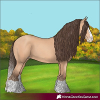 Horse Color:Amber Champagne Splash 