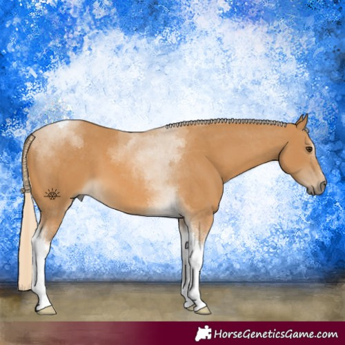 Horse Color:Palomino Tobiano