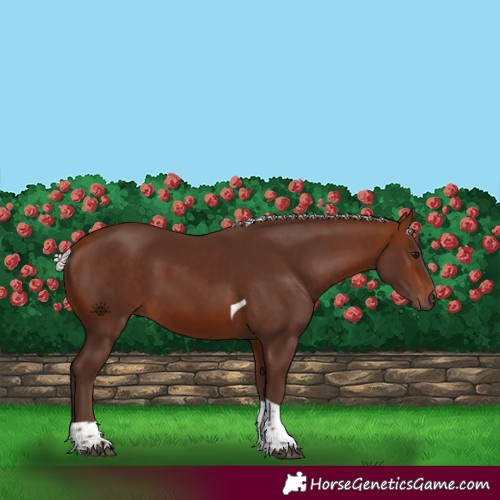 Horse Color:Silver Bay Tobiano 