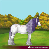 Horse Color:Watercolor White Spotted Chocolate Brown Ice Onyx Sabino 