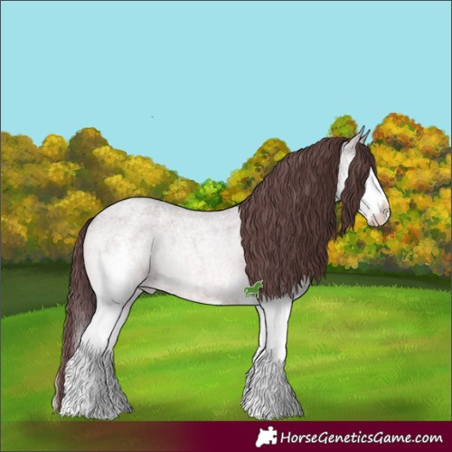Horse Color:Chocolate Blue Onyx Ice Roan Mushroom Sabino Splash 