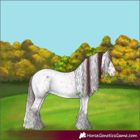 Horse Color:Chocolate Brown Ice Onyx Mushroom Sabino Splash Brindle 