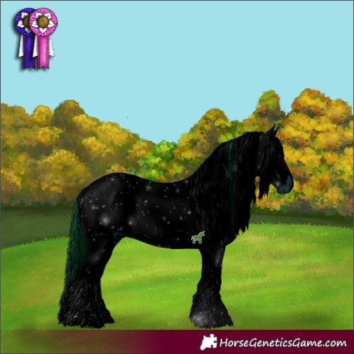 Horse Color:ERROR: UNKNOWN ANOMALY