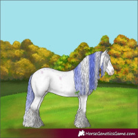 Horse Color:Watercolor White Spotted Chocolate Bay Ice Onyx Sabino Splash 
