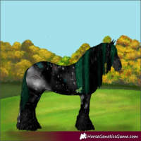 Horse Color:ERROR: UNKNOWN ANOMALY