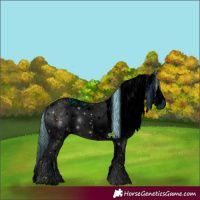 Horse Color:ERROR: UNKNOWN ANOMALY