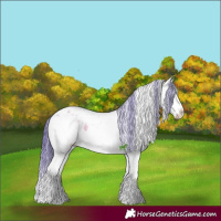 Horse Color:Watercolor White Spotted Brown Ice Onyx Sabino Splash