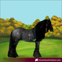 Horse Color:ERROR: UNKNOWN ANOMALY
