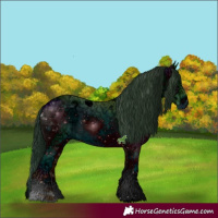 Horse Color:ERROR: UNKNOWN ANOMALY