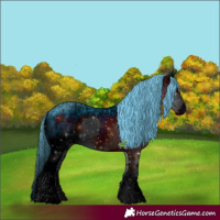 Horse Color:ERROR: UNKNOWN ANOMALY