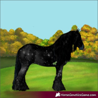 Horse Color:ERROR: UNKNOWN ANOMALY