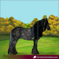 Horse Color:ERROR: UNKNOWN ANOMALY